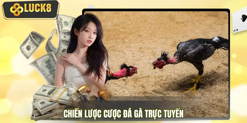 Chiến lược tối ưu lợi nhuận trong đá gà trực tuyến