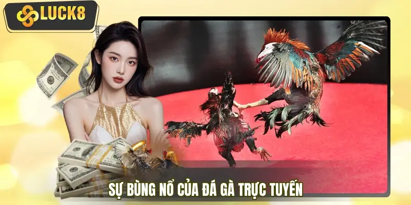 Đá gà trực tuyến 2026 & sự bùng nổ trải nghiệm live HD