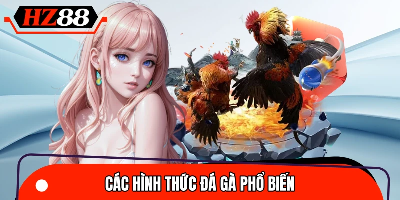 Top 4 hình thức đá gà được yêu thích nhất 2026