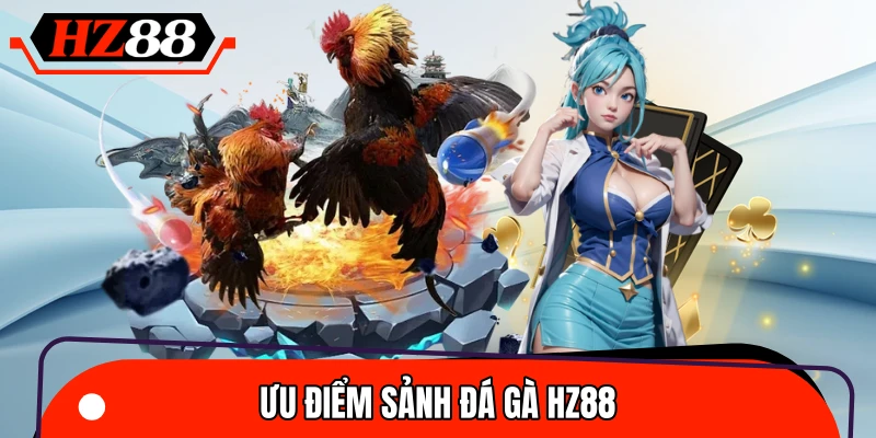 Vài điểm nổi bật cần biết về sảnh đá gà HZ88